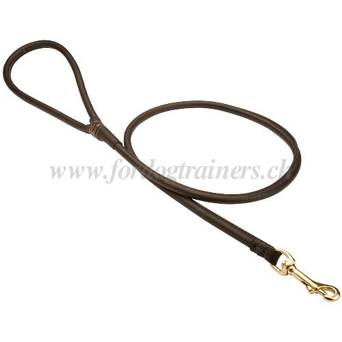 Laisse de haute qualit pour chien