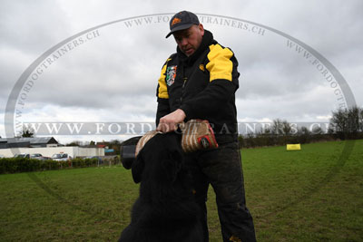 Elment d'habits pour dresseur de chiens