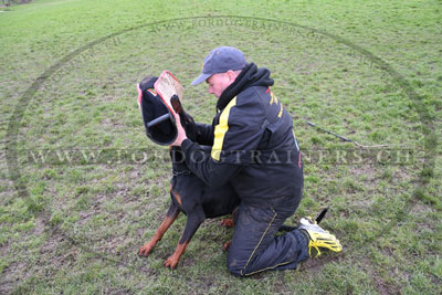 Gapette pour dresseur de chiens