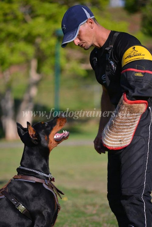 Harnais rglable pour Dobermann