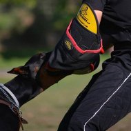 Matriel de dressage au mordant pour Dobermann