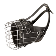 Muselire panier d'acier pour chien