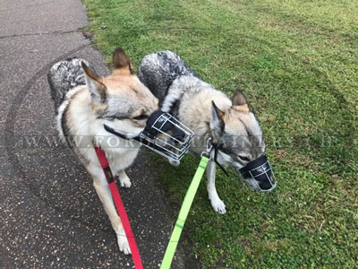 Muselire chien loup en acier type grillage