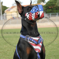 Dobermann Maulkorb "Amerikanischer Stolz", Bemaltes Leder