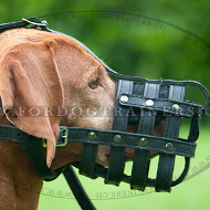 Maulkorb fr Ridgeback, Geflochtener Maulkorb mit Belftung