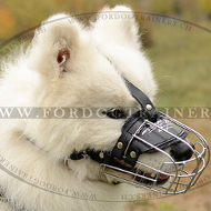 Maulkorb fr Samojede, Bester Maulkorb fr Hunde Schweiz