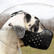 Maulkorb Bester fr Deutsche Dogge | Maulkorb fr Militrhunde