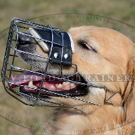 Golden Retriever Maulkorb aus Draht, Beste Qualitt