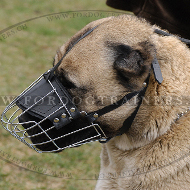 Maulkorb aus Draht fr Training mit Kaukasischen Schferhund