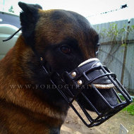 Muselire mtallique avec revtement en caoutchouc pour Malinois