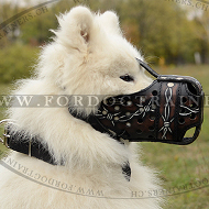 Bemalter Maulkorb fr Samojede, Leder Hunde Maulkorb mit Muster