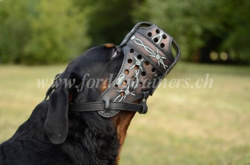 Muselire avec dcor pour Rottweiler