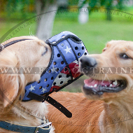 Hundemaulkorb Leder fr Retriever, USA Bemalung ☆