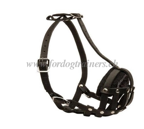 Muselire en cuir pour chien de type Bouledogue anglais