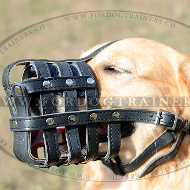 Maulkorb fr Golden Retriever, Geflochtener Leder Maulkorb