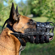 Maulkorb fr Malinois, Haltbarer Maulkorb aus Leder