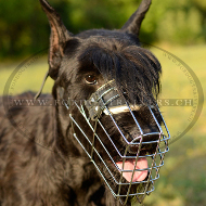 Maulkorb Draht fr Hunde, Gittermaulkorb fr Riesenschnauzer