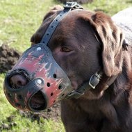 Hundemaulkorb Bemalt fr Labrador Gut Belftet