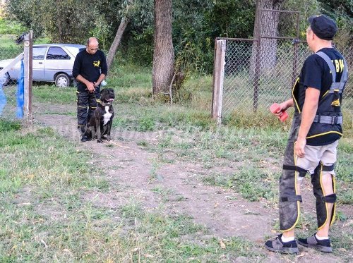 Pantalon spcial pour dresser son chien