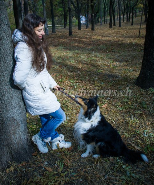 Matriel canin - Laisse pour
chien