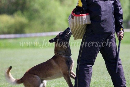 Manchette Fordogtrainers pour homme d'attaque