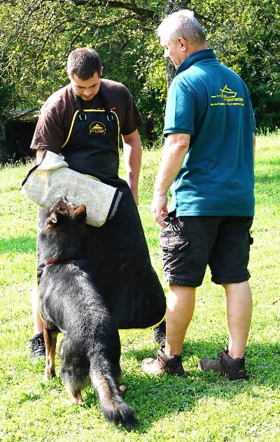 Equipement professionnel pour formation de chien : tablier