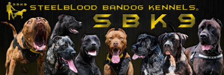 steel blood kennel SBK9