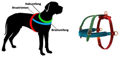 Schferhund Geschirr Leder mit Verzierung