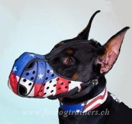 Hundehalsband im USA Stil fr Dobermann Schweiz