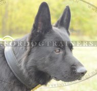 Hunde Lederhalsband mit Pelzschutzplatte fr Agitation Training