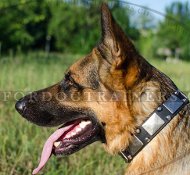 Schferhund Halsband mit Kegeln und Platten ✦