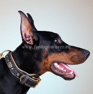 Gepolstertes Lederhalsband fr Dobermann Ⓓ