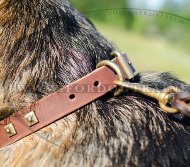 Lederhalsband fr Schferhund mit Quadratnieten Exklusive