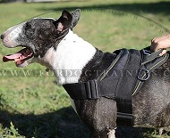 Hundegeschirr Nylon fr Bullterrier Stark und Praktisch