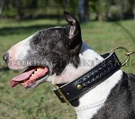 Lederhalsband Geflochten fr Bullterrier Hund