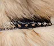 Nylonhalsband mit Spikes fr belgischen Schferhund