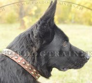 Nieten Halsband fr Schferhund Luxus-Qualitt ✭