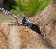 Halsband nylon fuer Tervueren Hund mit Schnellverschlu