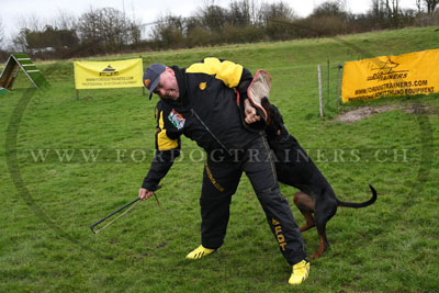 hundesport FMBB kleidung kaufen