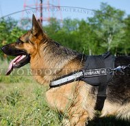 Nylon Hundegeschirr fr Schferhund Sportaktivitten!