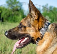 Leder Hundehalsband fr Deutschen Schferhund NEW ⋎