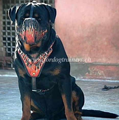 rottweiler
maulkorb leder bemalt schweiz