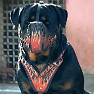 Handbemalter Ledermaulkorb fr Rottweiler