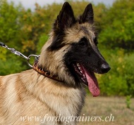 Hundehalsband mit Flamme Stil fr Tervueren Hund