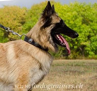 Lederhalsband mit Blauen Steinen fr Tervueren