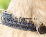 Hunde Halsband Leder mit Zopfdesign fr Tervueren Hund