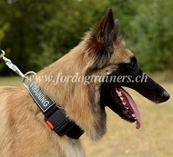 Halsband Nylon fr Tervueren Hund mit Logo