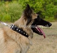 Nylon Dog Collar with Pyramids for Belgian Tervueren Dog