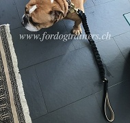 Lederleine Geflochten fr Englische Bulldogge Weicher Griff