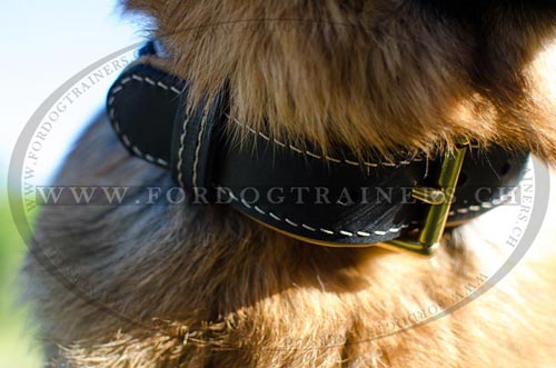 Halsband mit Nappa fr Schferhund